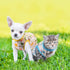 9 Pieces Small Dog Clothes Dog T-shirt Puppy Clothes Shirts Cute Print Pet Dog Shirt Small Dog Clothes Summer Pet Shirt Doggie Vest for Small Dogs...