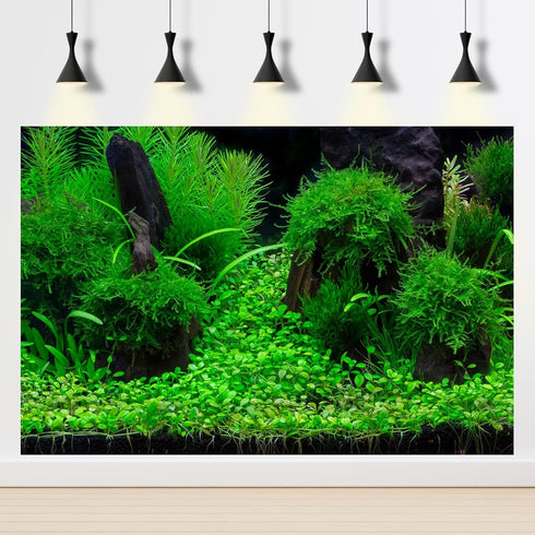 Terrarium Background Green Planted Tropical Freshwater Aquarium Background Aquatic Plants Roots Stones with Moss Aquarium Backdrop Perfect Fish Ta...