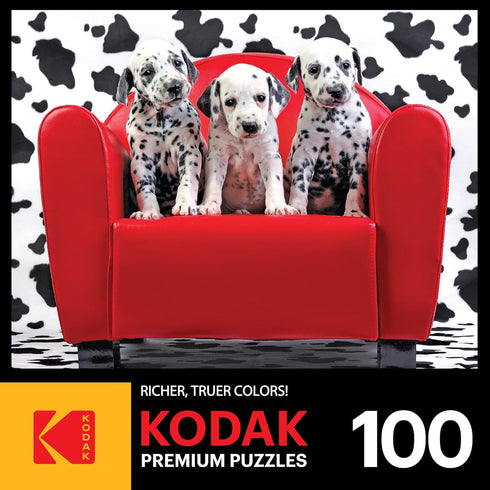RoseArt - Kodak Premium - Lots of Spots - 100 Piece Jigsaw Puzzle for Adults...