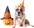 Halloween Dog Collar with Bow Tie, Holiday Pumpkin Jack-O-Lantern Collar for Small Medium Large Dogs Pets Puppies...