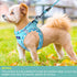 Dog Harness with Leash Set, No Pull Adjustable Reflective Step-in Puppy Harness with Thickened Padded Vest for Extra-Small/Small Medium Dogs...