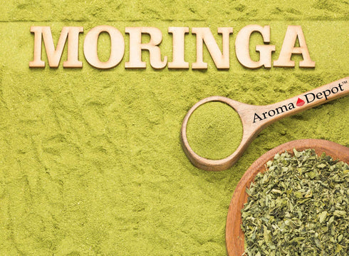 4 oz. Moringa Seeds KERNEL Shelled Clean 100% Natural, Raw Superfood Nutritional, Rich in Vitamins, Edible Seeds, Protein, Minerals, Potassium. (A...