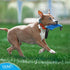 Dog Bite Tug Toy (11.8"x3.5"), Durable Blue Pull Toy w/ 2 Soft & Strong Black Handles, Tough Nylon Bite Pillow for Small to Medium Dogs, Ideal for...