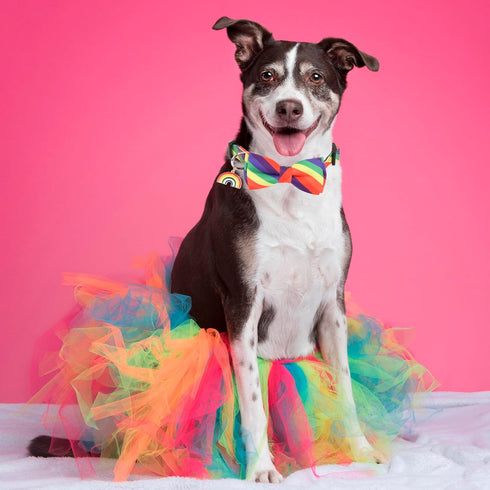 ADOGGYGO Rainbow Dog Collar with Bowtie, Adjustable Striped Dog Bow Collar, LGBT Pride Rainbow Collars for Small Medium Large Dogs Pets (Large, Ra...