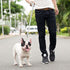 Downtown Pet Supply - Long Dog Leash - Dog Training Leash - Recall & Obedience Dog Training Tools - Nylon - 50 ft - Light Grey Dog Leash...