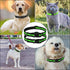 27 ½” X ¾” Replacement Dog Collar Strap Band w/Double Buckle Loop 2-Pack - All Brands Pet Training Bark, Shock, e-Collars and Fences. Variety of B...