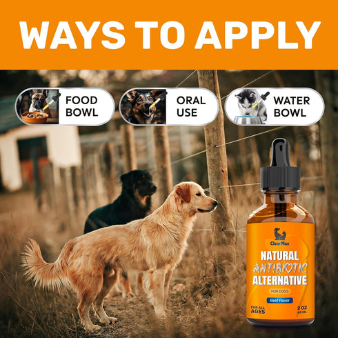 Antibiotic for Dogs ? Dog Antibiotic ? Natural Antibiotics for Dogs ? Pet Antibiotic ? Dog Antibiotics with Beef Flavor ? 2 Oz...