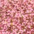 Pink Strawberry Mix with Pearls, Polymer Clay Sprinkle Mix (NOT Edible)...