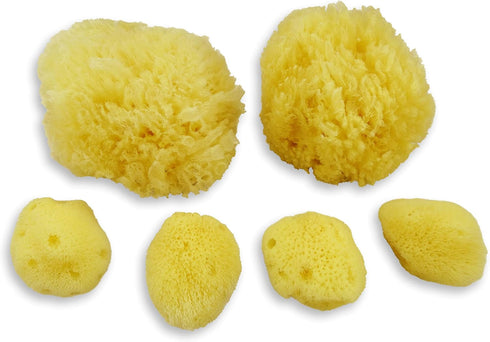 Real Sea Sponges for Babies - 6 Pk Bath Care Set, Gentle, Kind on Skin, for Bathing Washing Body Eyes, Ears Nose, Also for Newborn Toddler Kids; B...