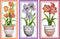 ITSTITCH Cross Stitch Kits for Adults 3 Pack Flowers Crossstitching Kits Preprinted 11CT Printed Cross Stitch Kits for Beginner Prestamped Easy Pa...