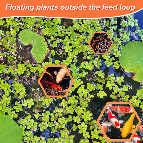 5pcs Aquarium Floating Plant Rings, Foam Floating Plant Corral Holder Hexagon Fish Feeding Rings Feeding Ring Barrier for Fish Tank Feeder Plant F...