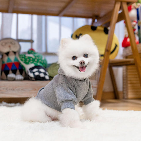 SCENEREAL Dog Hoodie Sweaters for Small Medium Large size Dogs, Fleece Dog Sweatshirt with Hat and Pocket,Soft Cotton Cold Winter All Weather Dog ...