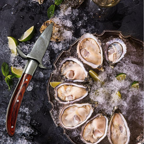 Oyster Shucker, Oyster Shucking Knife for Oyster Clam Pearl Shell Shucking, 2 Set Oyster Shucking Tool Kit, 2 Stainless Steel Oyster Knifes with W...