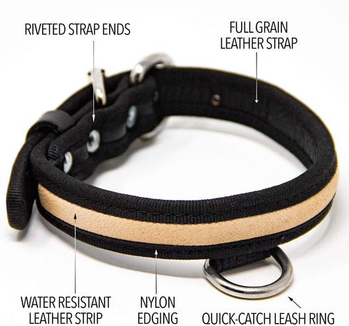 Premium Leather Dog Collar - Best Full Grain Heavy Duty Genuine Leather Collar (Tan, Small)...