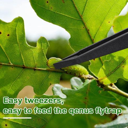 8 Pieces Venus Fly Trap Feeding Tweezers Carnivorous Plant Feeding Tongs Straight and Curved Food Tongs for Flytraps Pitcher Plants Butterwort Rep...