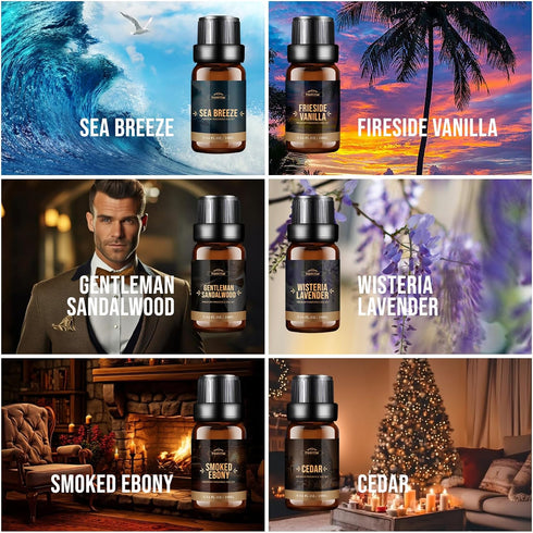 Fragrance Oil, Charming Men's Set Diffuser Oil for Home, Soap & Candle Making Scents, Aromatherapy Essential Oils -Sea Breeze, Fireside Vanilla, C...