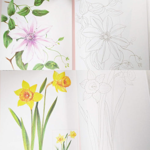 ICONBOOKS Botanical Art Coloring Book - Flower- Easy to Follow Anyone Coloring Book for Adults Relaxation...