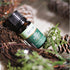 Fragrance Essential Oil Blend Gift Set (Holiday Set) 3 x 10ml / 3 x 0.34fl.oz...