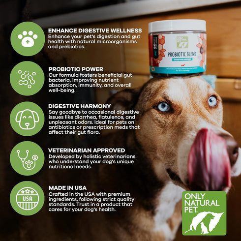 Only Natural Pet Probiotic Dog and Cat Supplement - Digestive & Gut Health Enzyme Formula, Puppy & Canine Digestive Chews, Best for Stomach Relief...