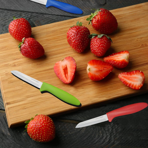 Paring Knife set of 6 PCS, 3.5 Inch Stainless Steel Fruit and Vegetable Knives,Comfortable Handle With Multi-Color Red/Green/Blue...