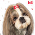 40 Pieces Hair Clips for Dogs Cute 1 Inch Puppy Dog Barrettes Small Bone Snap Hair Clips Multicolor Hair Barrettes for Dog Cat Pet Grooming Bows H...