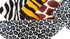 Bandana's For Children or Adults...