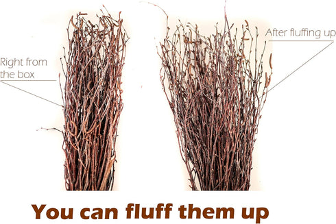 50 pcs Birch Branches for Vases, Decoration for Sale. Natural Birch Twigs for centerpieces. Floral Stick....