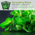 Survival Garden Seeds - Spearmint Seed for Planting - Mentha Spicata Packet with Instructions to Plant Delicious Herbs and Grow Your Home Herb Gar...