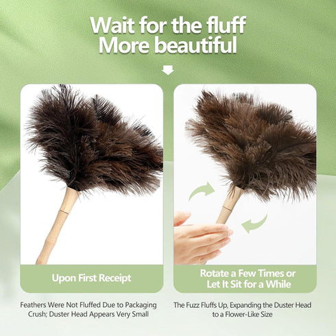 Ostrich Feather Duster, 16-Inch, 2-Pack, Reusable Design for Effortless Cleaning of Delicate Items, Antiques, Electronics, and More – Ideal for Ho...