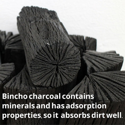 Earthink Japanese Binchotan Charcoal Fine Powder Infused Toothbrushes Variety Pack, Assorted Colors 8 Pack Made in Japan...