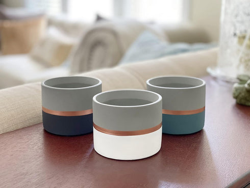 Assorted Nordic Cement Succulent Pots 3.5" Planters with Drainage | 3 Pack...