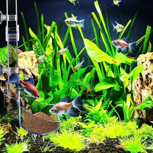 Shrimp Feeding Tube and Dish Set Aquarium Fish Feeder Tube Clear Shrimp Feeder Fish Tank Feeding Supplies with Feeding Ring Cleaning Brush for Fis...