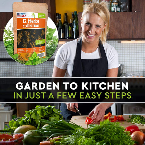 12 Culinary Herb Seeds Pack - Heirloom and Non GMO, Grown in USA - Indoor or Outdoor Garden - Basil, Parsley, Dill, Cilantro, Rosemary, Mint, Thym...