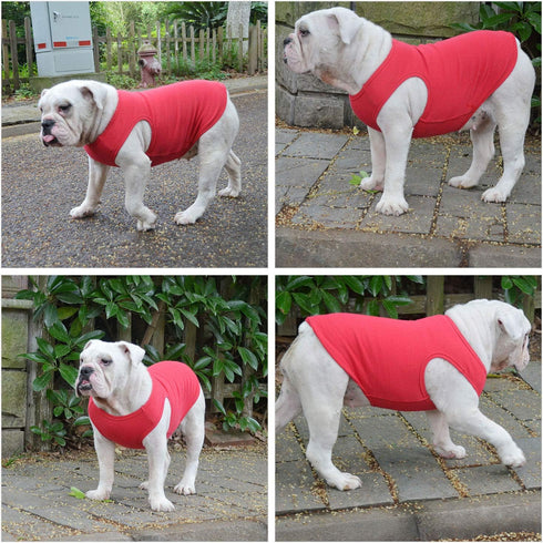 Lovelonglong 2019 Summer Pet Clothing, Dog Clothes Blank T-Shirts Ribbed Tanks Top Thread Vests for Large Medium Small Dogs 100% Cotton Red L-L...