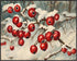 Posterizer 1 pcs-berries in snowy winter scene-oil painting style -5-Art for Animal Lovers-Landscape & Nature Art-Decor for Home & Office- unframe...
