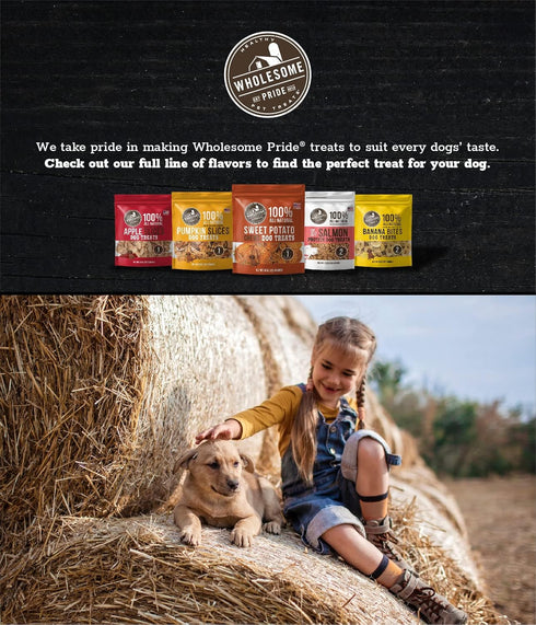 Wholesome Pride Functional Calming Support Turkey Recipe Jerky Bites Calming Dog Treats - 8 oz...