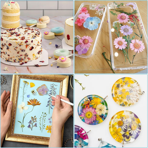 PATIKIL Dried Pressed Flowers, Natural Dried Flower Leave Real Pressed Flowers for DIY Art Crafts Resin Mold Scrapbooking, Green Series...