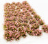 Cayway 106 PCS Static Grass Tufts Model Grass Tufts Artificial Grass, Flower Cluster Model Static Scenery Model for Train Landscape Railway Artifi...