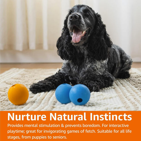 Amazon Basics Supreme Rubber Toy Dog Balls, 2.5-Inch, 3-Pack, Blue, Orange...