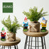 Miniature Garden Gnome Sets Fairy Garden Gnomes Outdoor Small Gnome Figurines Fairy Garden Accessories Gnome Garden Decorations...