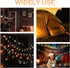 AceList Camping Lantern String Light 30 LED Camping Lights Battery and USB Operated, Happy Camper Mini Kerosene Lamp Perfect for Camping Decoratio...