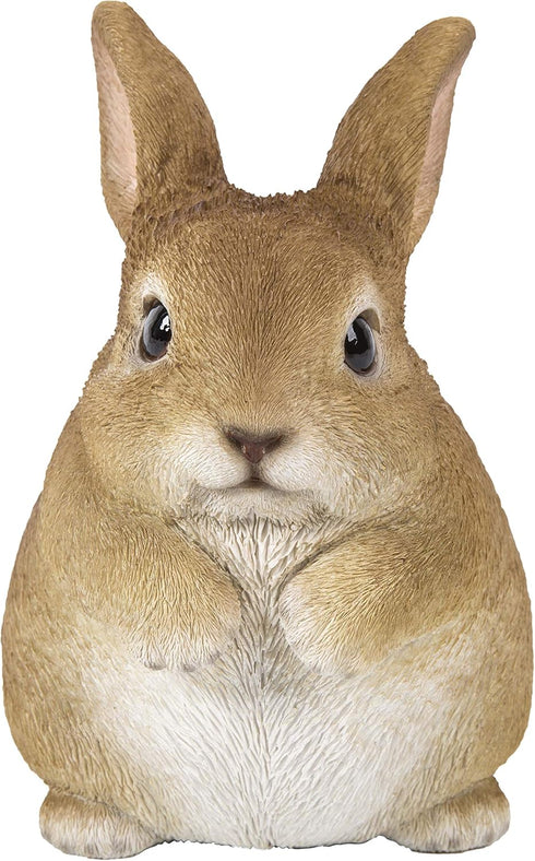 Hi-Line Gift 87685-C Chubby Rabbit Standing...