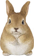 Hi-Line Gift 87685-C Chubby Rabbit Standing...