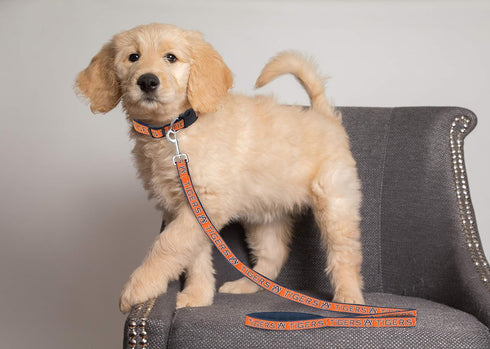 Pets First Collegiate Pet Accessories, Dog Leash, Auburn Tigers, Large...