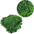 Woohome 3 Color Tree Powder for DIY Model Trees Basing Material Kit, Tree Powder Model for DIY Miniature Model Shrub Bushy Tuft, Building Model Ra...