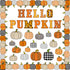 Whaline 92Pcs Hello Pumpkin Bulletin Board Kit Plaid Leopard Fall Pumpkin Decoration Border Cutout with Glue Points for Fall Harvest Thanksgiving ...