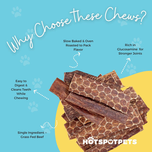 hotspot pets Beef Dog Treats Esophagus (6 Inches) - 100% Natural Healthy Chews for Dogs - Meat Jerky Snack with, All Natural from Grass Fed Cattle...