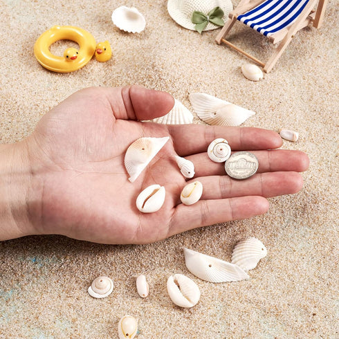 Cheriswelry 210pcs/box 21.5-24.5mm Natural Shell Making Finding Kit Ocean Beach Style Seashell Beads Pendants for DIY Necklace Bracelet Jewelry Ma...