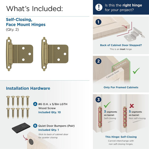 Amerock BPR3428BBZ | Cabinet Hinge | 3/8 in (10 mm) Inset Self Closing Face Mount | Golden Champagne | Kitchen Cabinet Door Hinge | 1 Pair/2 Pack ...