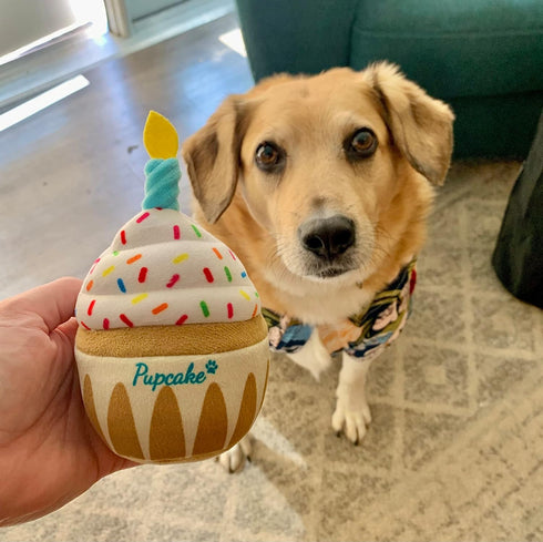 Nestpark Dog Birthday Toy - Pup Cake Puppy Cupcake Plush Squeak and Crinkle Gift...